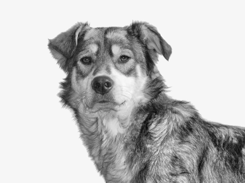 проститутка ывавай, 21 лет, рост 167 см,  руб. в час - фото 11